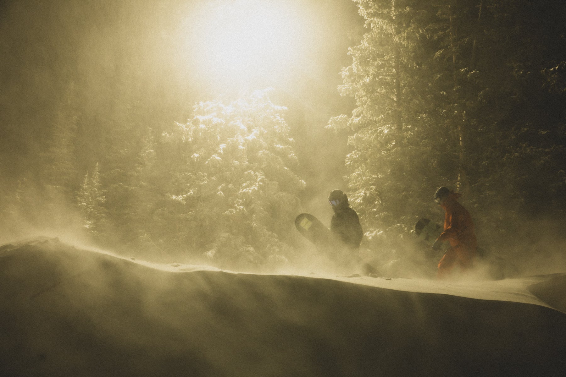 Genderless Collection